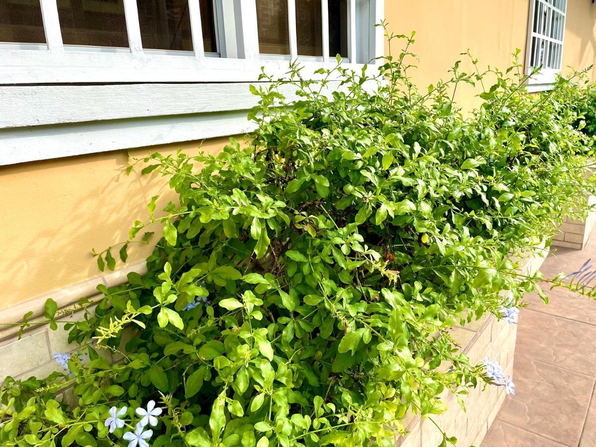 Sofia'S B&B Hostal Boutique Panama City Exterior photo